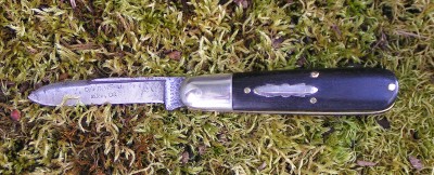 Ulster ebony jack A.jpg