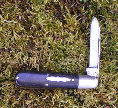 Ulster ebony jack b.jpg