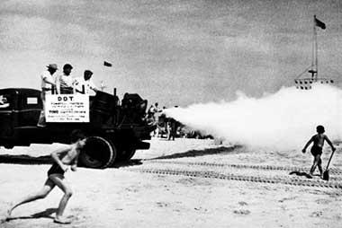 DDT Truck.jpg