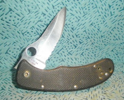 Spyderco Wegner ATS-34 PS.jpg