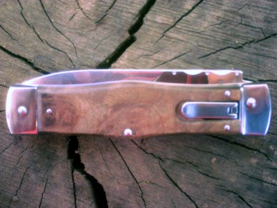 IMAG0113.JPG