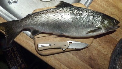 2013-04-23_19-24-37_157.jpg