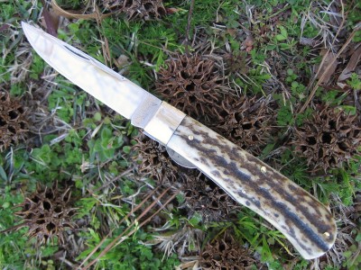 GEC #73 Scout Genuine Stag  (EDC) a.JPG
