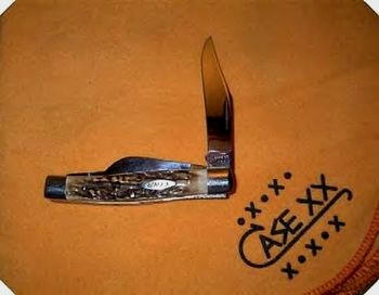 Case by Ray Cook.jpg