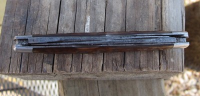 remrat 006.JPG