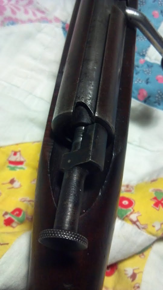 marlin 4.jpg