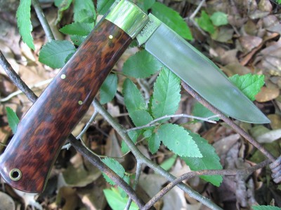 #72 Snakewood (a).JPG