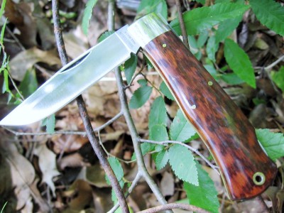 #72 Snakewood (b).JPG