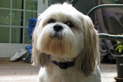 Sammi 5-13.jpg