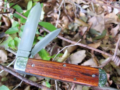 GEC #152213   Boys Knife  Cocobolo (a).JPG