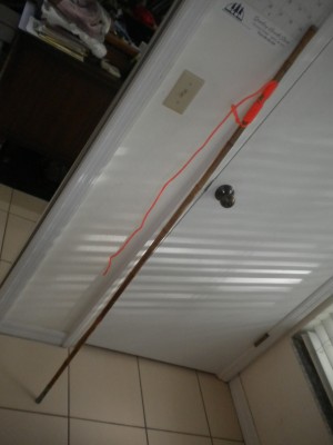 Lot5.30.13 054.JPG