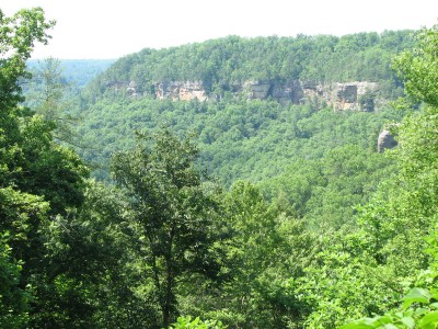 IMG_9082.JPG