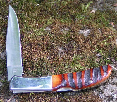 Kershaw #4159 custom c.jpg