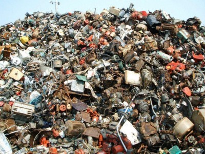 Find The Cat.jpg