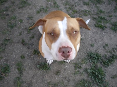 THIS IS HIS "HURRY UP AN TAKE THE PIC" FACE.......