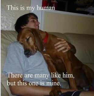 this is my human.jpg