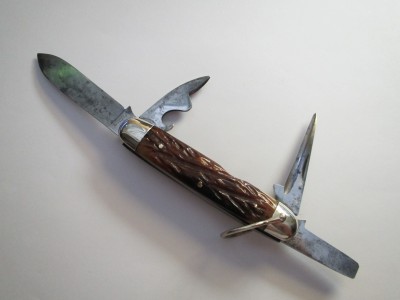 Robeson Scout 008.JPG