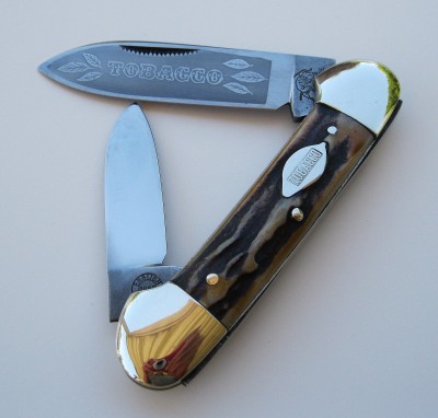 stag_canoe.jpg