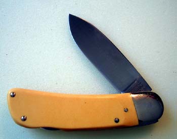 SC504-Yellow.jpg