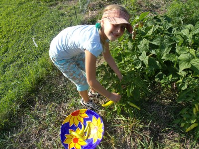 pickin' with Sofia Rose 004.jpg