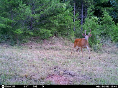 HUNT0079.JPG