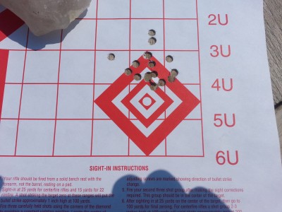 Sight in target BushMaster XM-15 .223 5.56.jpg