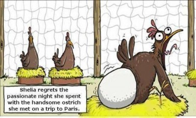 best-funny-humor-cartoon-joke.jpg