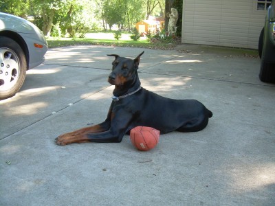 DSCN6263.JPG