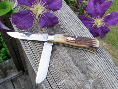 Burnt Stag #735210LP Scout f.JPG