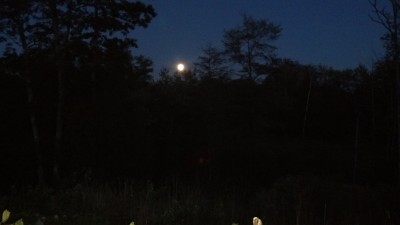 IMG_20130919_191515_501.jpg
