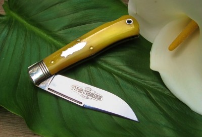 GEC #72 Yellow Bone.jpg