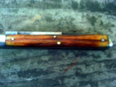 IMAG0487.JPG