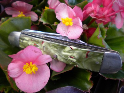 utica stockman 012.JPG