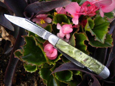 utica stockman 010.JPG