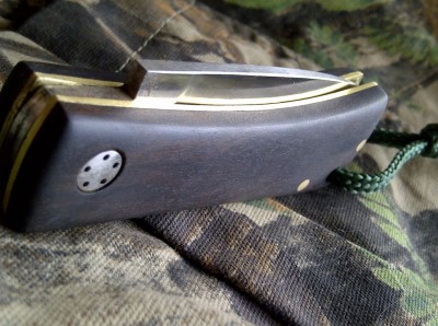 IMG-20130308-02060a.jpg