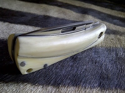 IMG-20130806-03216a.jpg
