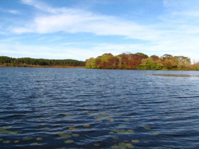 IMG_1787.JPG