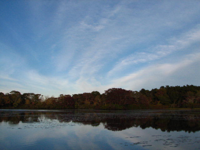 IMG_1816.JPG