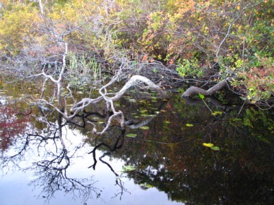 IMG_1818.JPG