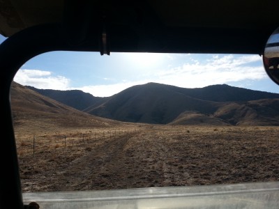 The Canyon_Mullen.jpg