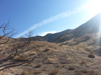 View from the parking spot.jpg