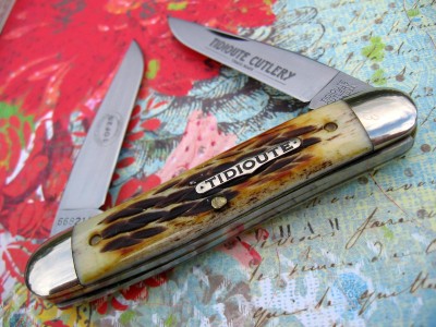 #66 Grizzly Bone.JPG