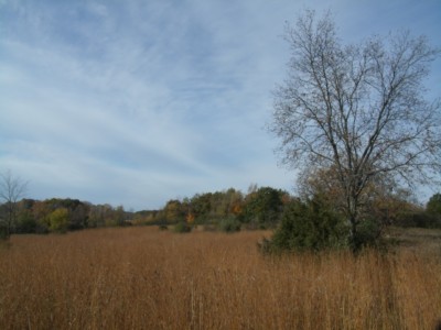 GEDC2659.JPG