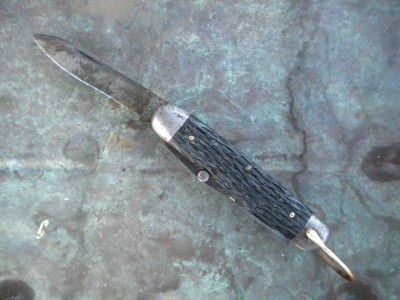 robeson scout 007.JPG