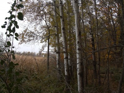 GEDC2685.JPG
