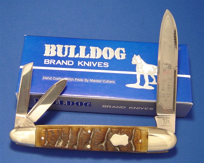 BULLDOG Anglo Sheep horn 1.jpg