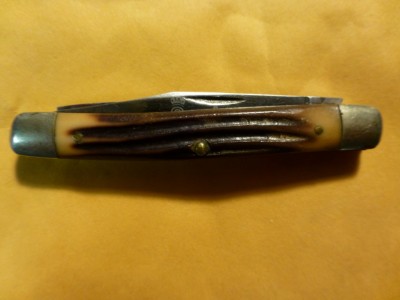 P1000619 (Medium).JPG