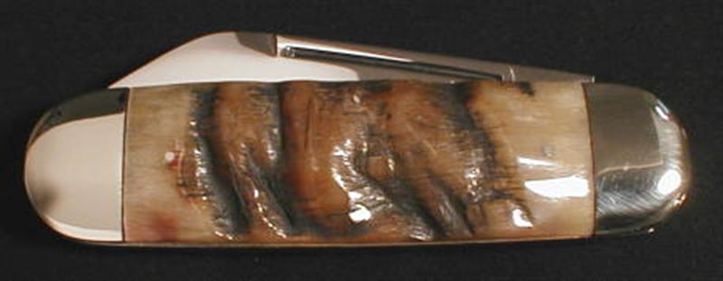 SheepHorn2 (Medium).jpg