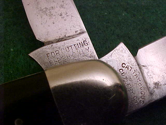 MVC-221S.JPG