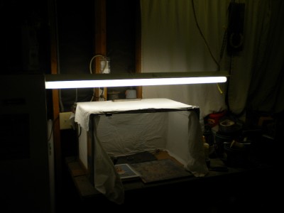 colonial and light box pix 009.JPG